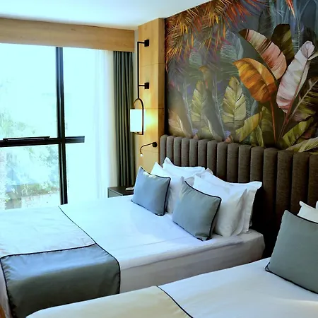 Zeugma - Adult Only 16 Hotel